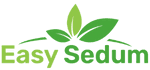 Easy Sedum